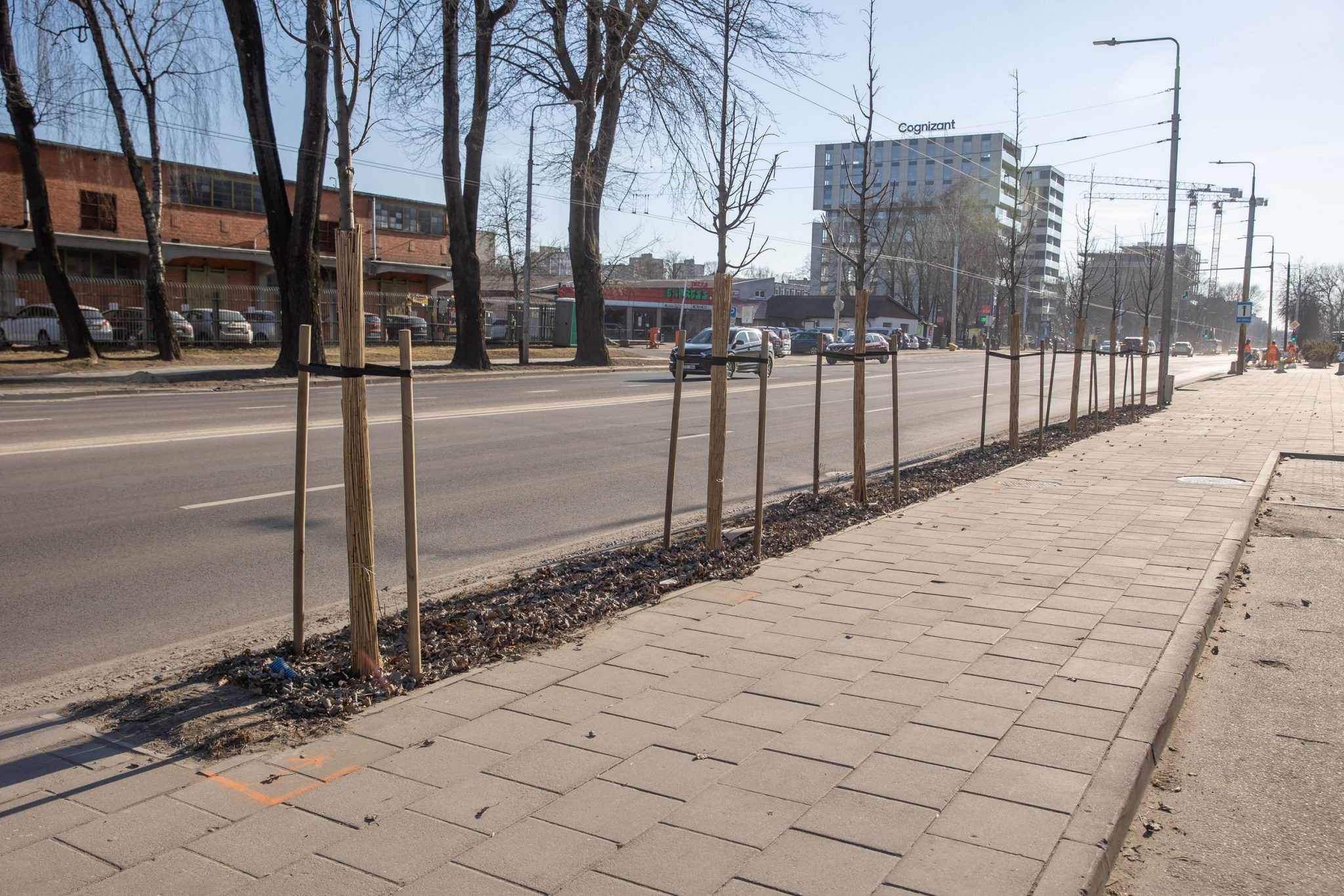 Šeštadienį Vilnius kyla į Žaliąją bangą, Savanorių pr. bus laikinai ribojamas eismas