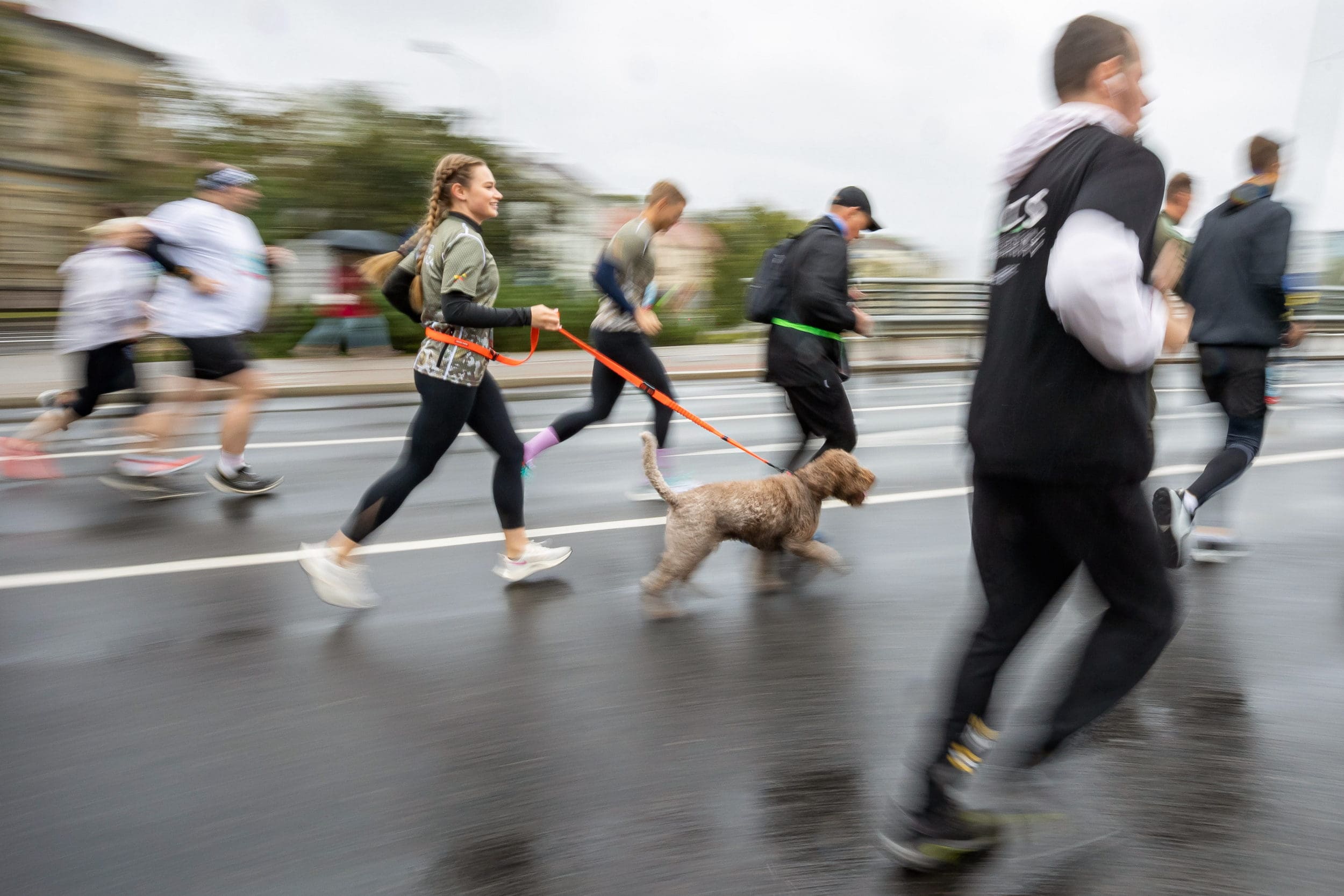 <strong>„Vilnius 700 pusmaratonis“ jau šį savaitgalį: eismo ribojimai, viešojo transporto pakeitimai ir renginio programa</strong>